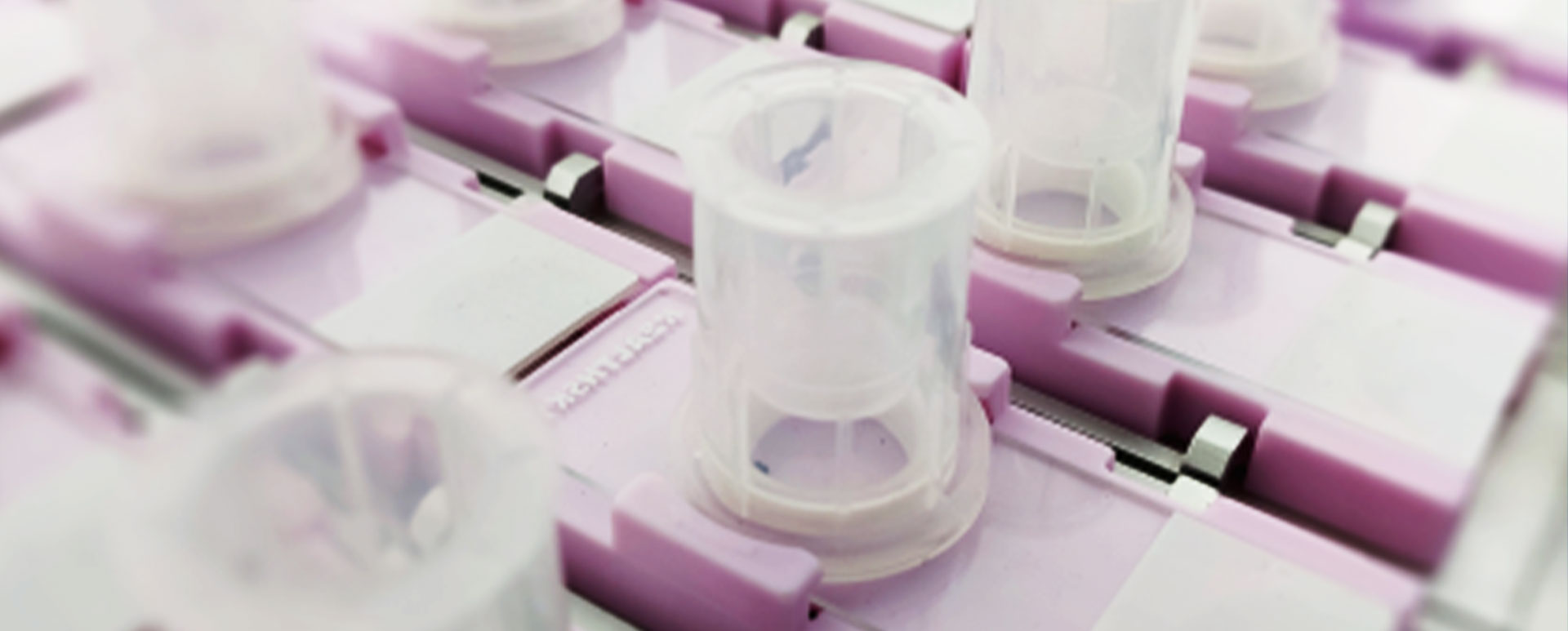 Kit de citologia à base de líquido