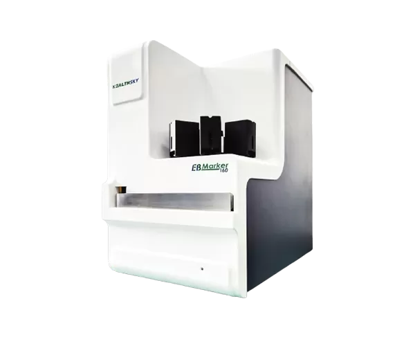 Fixação em Histologia: Técnicas e Melhores Práticas